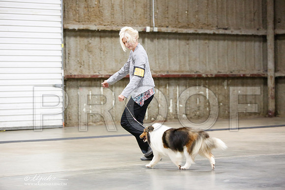 _JN_1138-CnroeJul2014-HR3