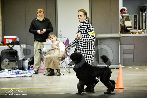 _JJ_5646-BeltonJan2015IABCA-HR3