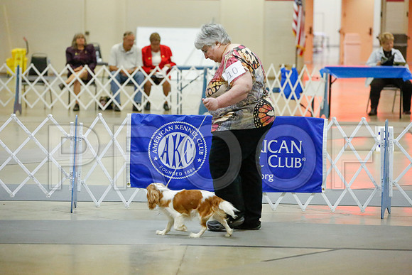_JJ_1030-AmarilloSept2014-HR3
