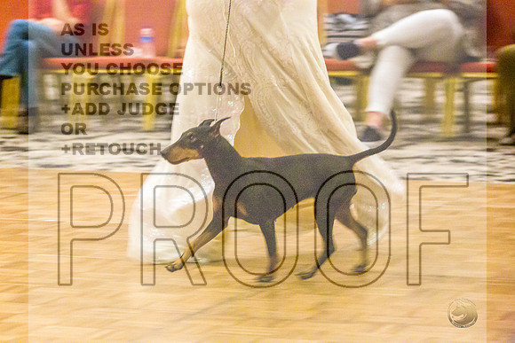 Manchester Terrier MTOY Candids-JJL_2021-Hstn2022_HR3