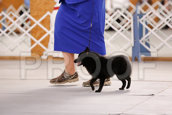 _RH_6761-CarlrolltonSept2014-HR3