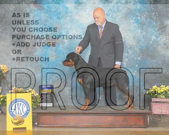 Rottweiler #8 Sun BOB Judge John Ramirez-MMJ_1230-NWARK2022-HR3