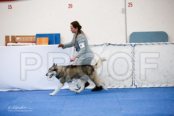 _JJ_0182-HuskySltyMar2016-HR3