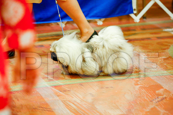 _JJ_7952-SanMarcosAug2016-HR3