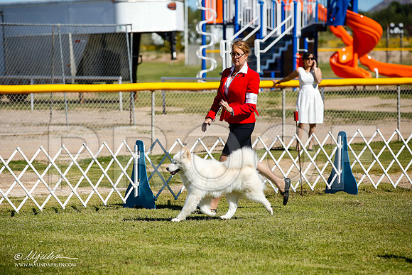 _JJ_9934-AlamogordoOct2014-HR3
