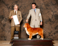 Nova Scotia Duck Tolling Retriever #5 Sat G4 Mosing Jennifer and L Fitzmaurice and K Webb Agent Brian Livingston Judge Jeffrey Pepper