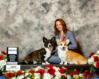 Cardigan Welsh Corgis #10 & #9 Sat CUSTOM Macnair Dr Elizabeth S & Eleanor S Macnair