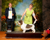 Petit Basset Griffon Vendeen #5 Sat G3 Planche Dina M amd Gwen Huikeshoven and Diane Bolak Agent Lois DeMers Judge Dana Cline