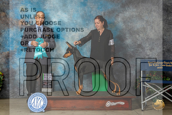 Doberman Pinscher #24 Fri OHBIS Judge Jay RichardsonMJP_8524_SA2023_HR3