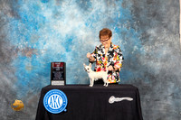 Chihuahua Smooth Coat #28 Sat BOS Judge Tim Robbins