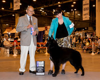 Belgian Sheepdog #8 Sun WB NC Sutton Kathy Bone & Tom Bone & Kathy DVM Judge Dr Robert A Indeglia