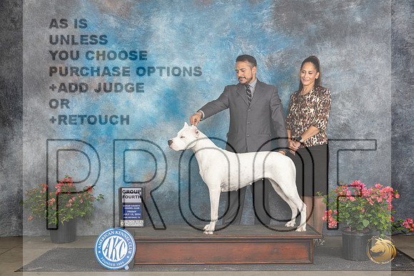 Dogo Argento #12 Fri G4 Judge Wendy G Willhauck__JP_4483_San Antonio_2024_HR3