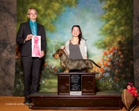 Dachsund #5 Sun OH G1 Hall Byrnes and Brielle Judge Troy Dargin