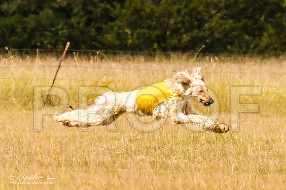 _MJ_5537-AfgBeltonOct2014-HR3