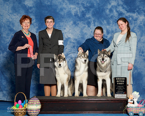 _R1_8249-HuskySltyMar2016-HR3