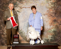 Poodle Miniature #6 Fri G2 Neal Joann Judge Roger Hartinger