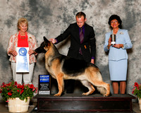 German Shepherd Dog #7 Sat G1 Kooken Ralph Judge Karen Hynek