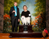 American Eskimo #18 sun NGC SB Schroeder Sherion and Jackie Blackburn Judge Troy Dargin