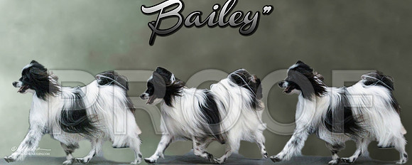 Baily Poster 1text HR