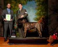Bullmastiff #5 Sat OH G2 Brubacker Cheryl and Timothy Judge Dr Geno Sisneros