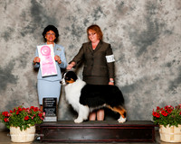 Australian Shepherd #11 Sat OH G1 Rhodes Angela and Terry Velnosky and Hope McQueen Judge Linda Clark
