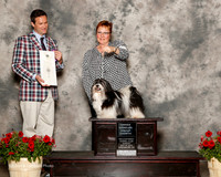 Havanese #17 Sun OH G4 Hopkins Alexis and Arlene Etzig Judge Richard Bohannon