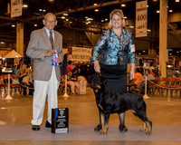 Rottweiler #14 Sun BOW Maj Culberson Tracy M Agent Brooke Young Judge Dr Robert A Indeglia