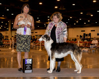 Borzoi #34 Sun WB Maj Hlatky Prudence & Gregory Judge Ms Helene Nietsch