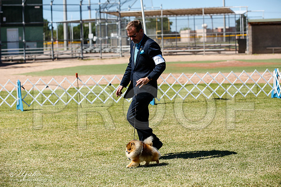 _JN_4929-AlamogordoOct2014-HR3