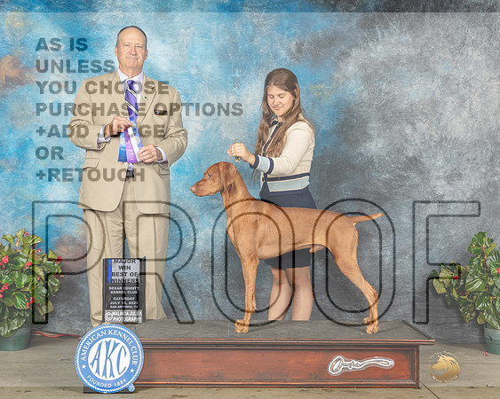 Vizsla #27 Sat BOWM Judge Jay Richardson-MJP_8866e_SA2023-HR3
