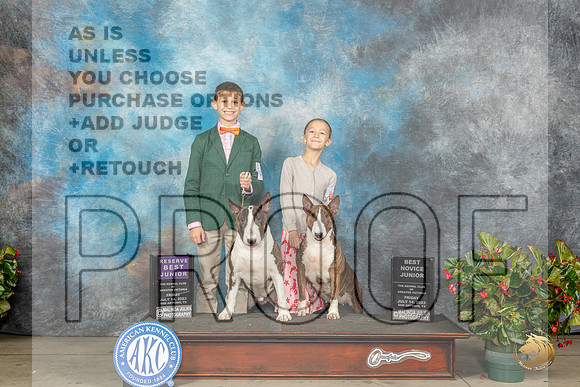 Bull Terrier #J401 Fri RBJr Judge Grace FritzMJP_7685_SA2023_HR3