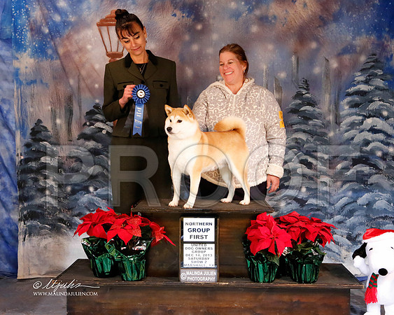 shiba-6279-MrshlDec13-HR