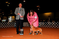 Australian Cattle Dog #10 Sat NC BOS Swanton Vinson Dr Sherri Judge Brian Cline