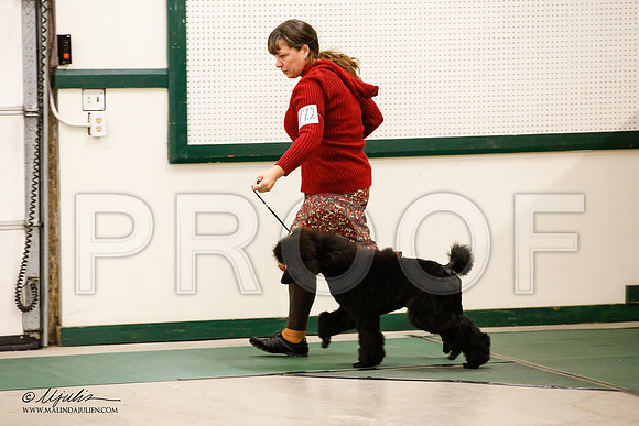 _JN_1018-NrmnNov2014-HR3