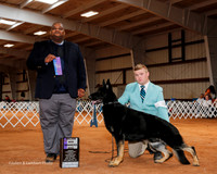 German Shepherd Dog #5 Sat Maj WD Goswick Lynn Judge Michael Lynch