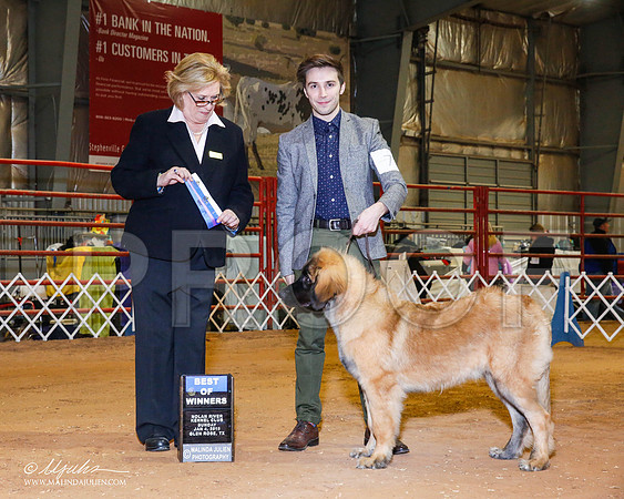 _RH_8995-2-GlenRoseJan2015-HR3