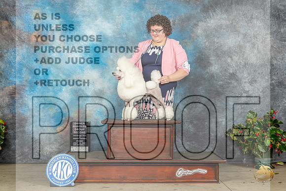 Poodle Miniature #9 Fri OHG2 Judge Helene NietschMJP_8535_SA2023_HR3