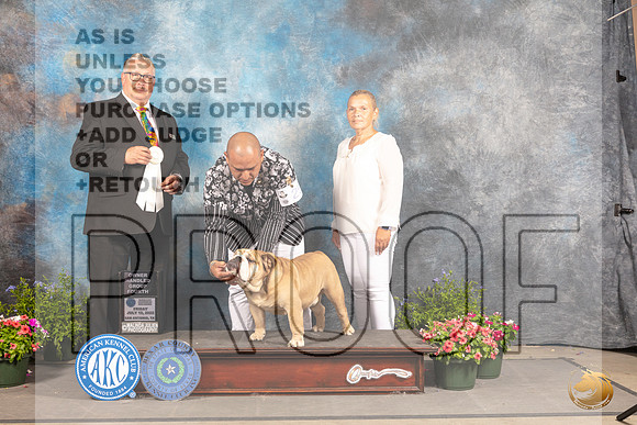 Bulldog #25 Fri OHG4 Judge John Booth_MJ_0005_SA_2022_HR3