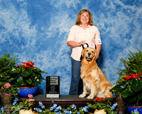 Golden Retriever #R45 Fri NT ADV Evans Kris and Carol Abernathy Judge Donna Eddins