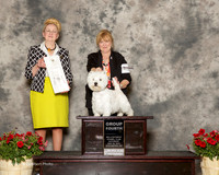 West Highland White Terrier #5 Sat G4 Davis Darlene Cox Judge Nancy Smith Hafner