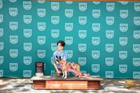 Unrecognized Mixed Breed #122 Fri 2nd No Judge Weight Pull
