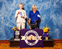 Yorkshire Terrier #7 Sat WD Bird Donna and Natalie Amies Judge Mrs Sharon Newcomb