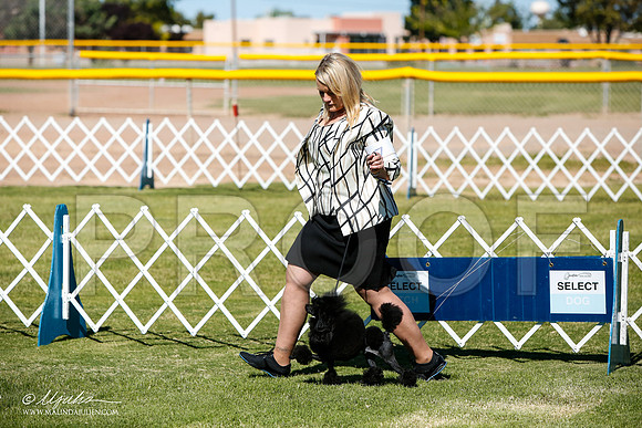 _JJ_4625-AlamogordoOct2014-HR3