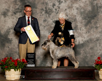 Standard Schauzer #11 Sun G3 Cristy Kathlene and David Crist Agent Brenda Lee Combs Judge Jim Owens