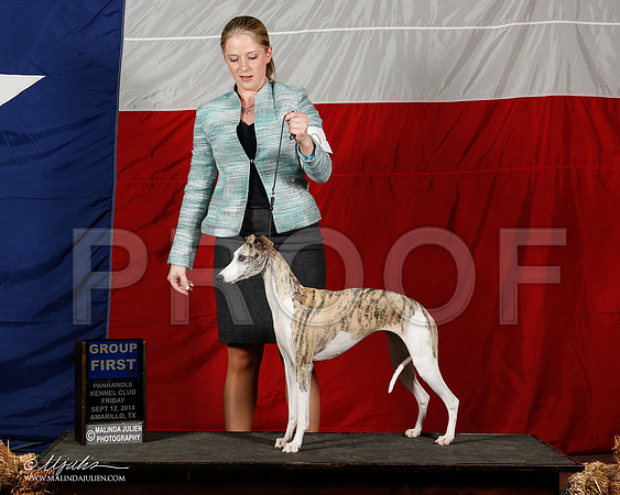 _ST_1761-2-AmarilloSep2014-HR3