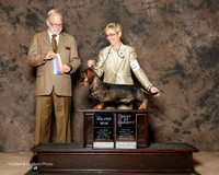 Dachshund Wirehaired #7 Sat Maj BOV Ray Shirley Agent Cheri Koppenhaver Judge Jeffrey Pepper