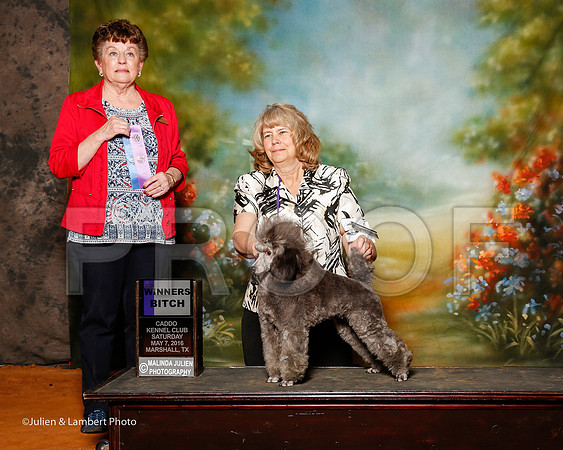 _ST_3958-2-MrshllMay2016-HR3
