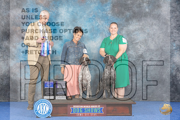 German Shorthaired Pointer #55 Wed AMBred1 Judge Jon Cole__JP_7515_Houston_2024_HR3
