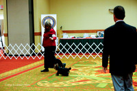 9-12 Bitch Thurs Ring