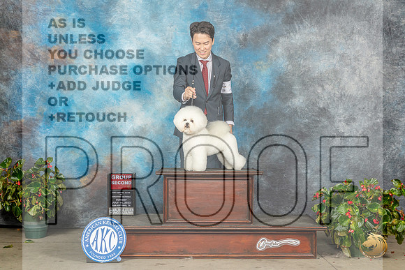 Bichon Frise #16 Sun G2 Judge David KirklandMJP_0301_SA2023_HR3
